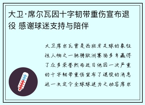 大卫·席尔瓦因十字韧带重伤宣布退役 感谢球迷支持与陪伴